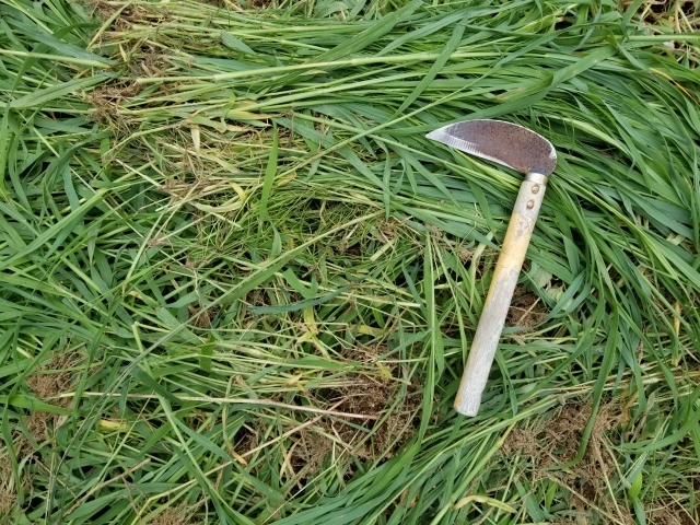 オージル便利堂