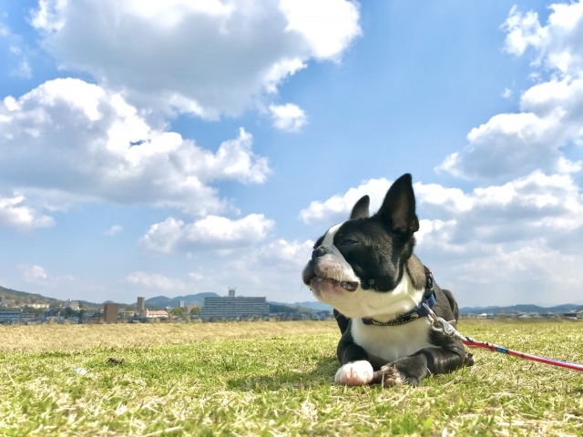 オージル便利堂